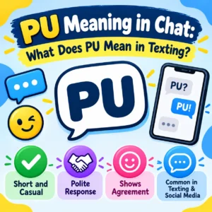 pu meaning in chat