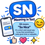 SN Meaning in Text: What Does SN Mean When Texting?