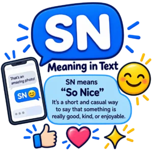 sn meaning in text